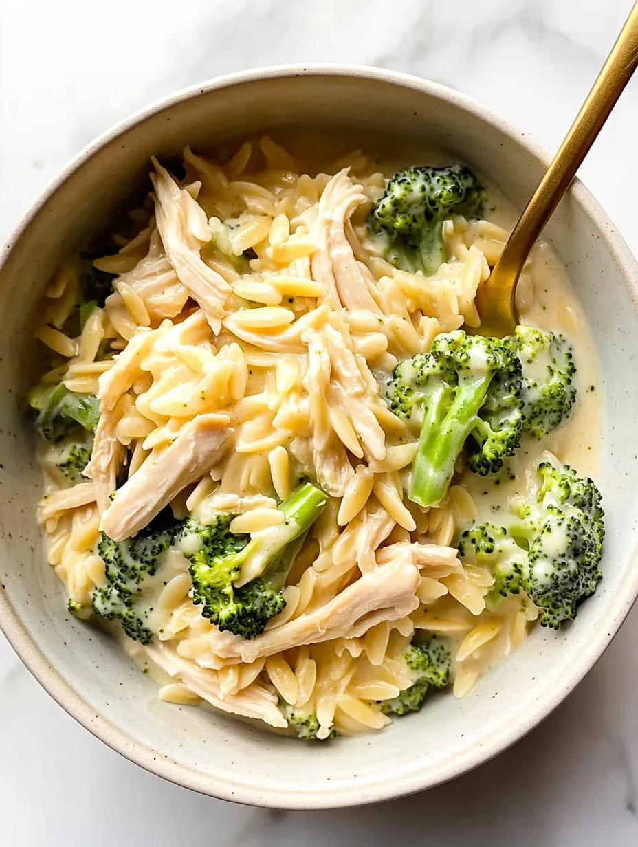 Cheesy Chicken and Broccoli Orzo Dish